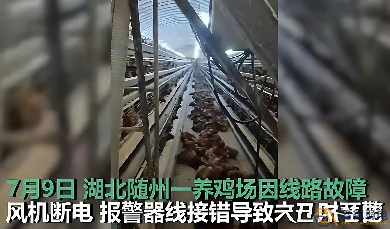 養(yǎng)雞場(chǎng)為什么要24h監(jiān)測(cè)溫濕度斷電報(bào)警器？