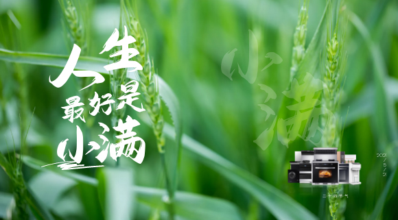 十大品牌科恩集成灶：廚房亦需“小滿”！